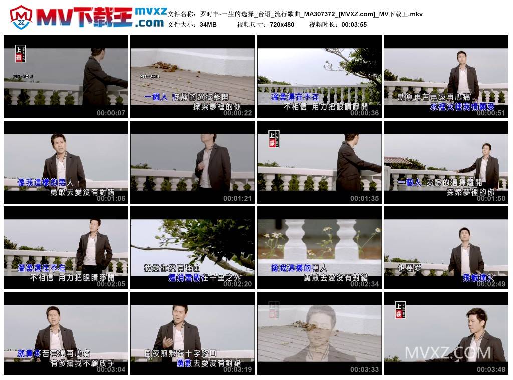 罗时丰-一生的选择_台语_流行歌曲_MA307372